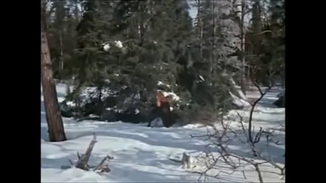 Новогодняя киновикторина смотреть онлайн