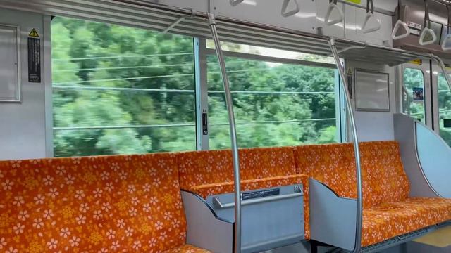 Первый день после изоляции/ First day after self-isolation/ My way from Narita to Fuchu смотреть онлайн