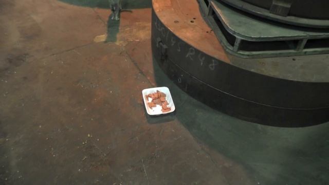 Проверка качества колбасы с помощью кошки. смотреть онлайн