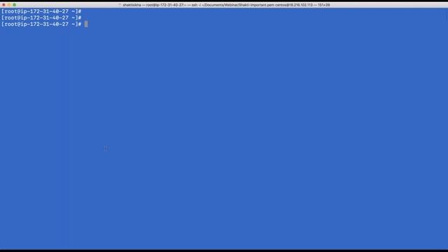 Installing Postgres in Containers смотреть онлайн
