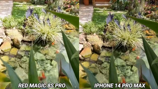 Red Magic 8S pro vs Iphone 14 pro Max Camera test смотреть онлайн