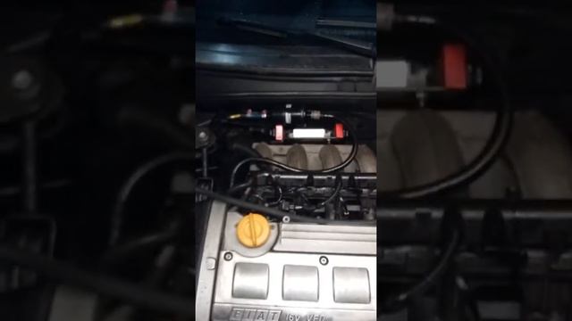 Marea Filtro De Combustível.