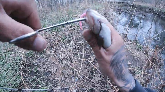 Trout fishing Rahway river! смотреть онлайн
