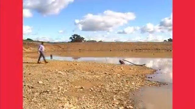 Honda Water Pumps - WB20 & WB30 смотреть онлайн