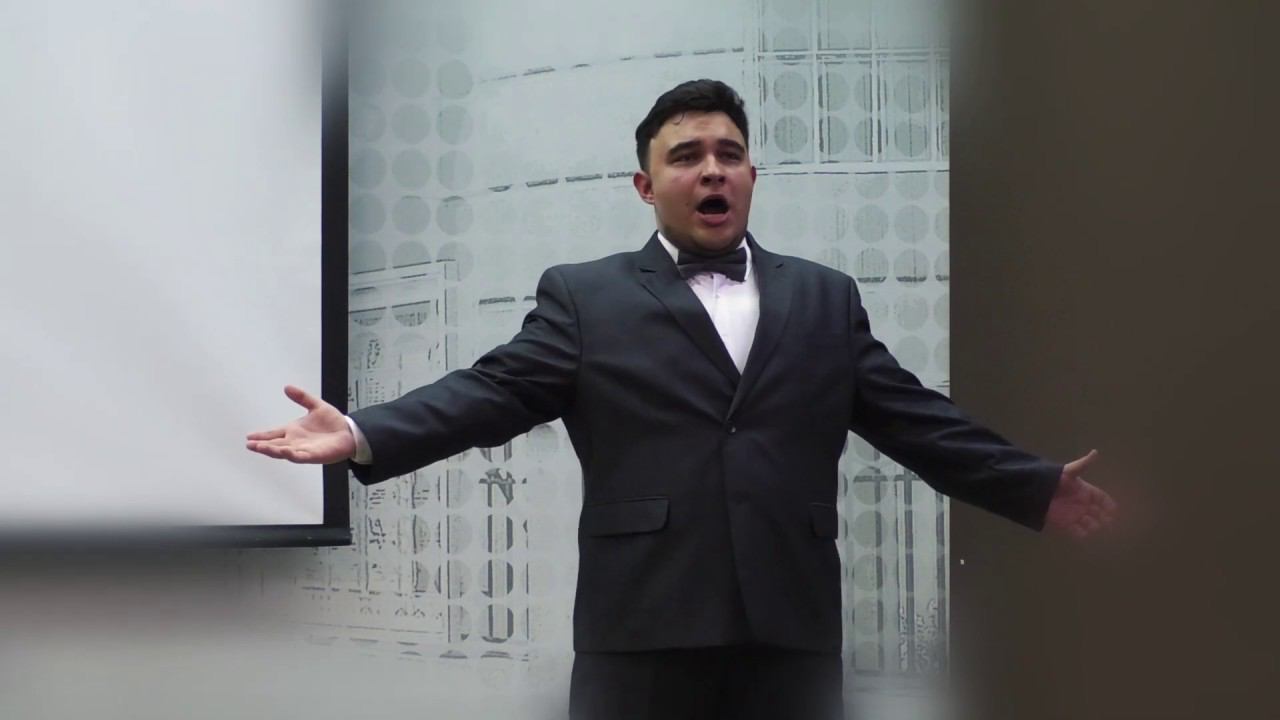 В.Плахатнюк "Ария Мистера Икс"