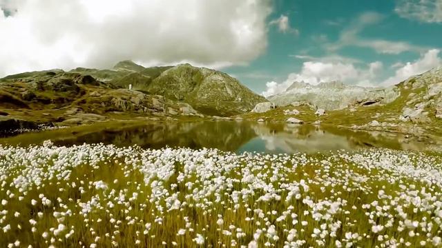 SALMO 51. CID MOREIRA | Pr. Marcelo Araujo | Salmo em vídeo HD смотреть онлайн