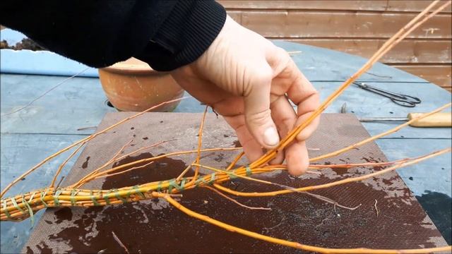Salix babylonica fusion, part 1 смотреть онлайн