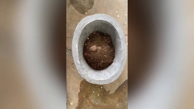 Adenium pot change смотреть онлайн