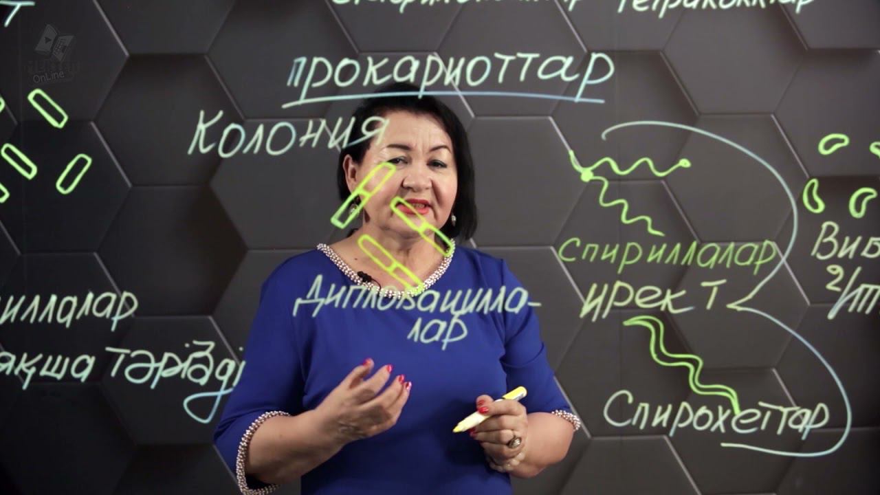 Бактериялардың пішіндері. 7 сынып. смотреть онлайн