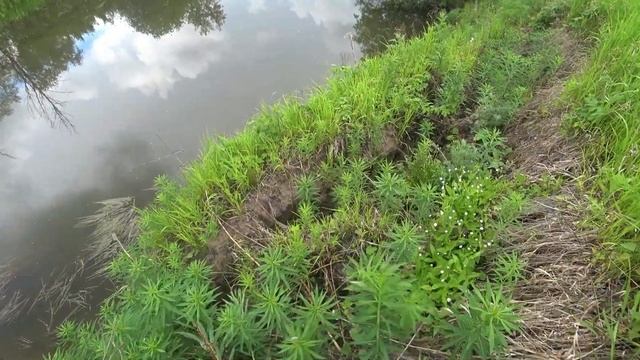 РЫБАЛКА НА РОГАТКУ.! Рогатка из Китая для Рыбалки! Slingshot Fishing