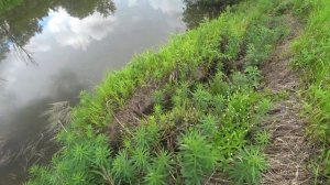 РЫБАЛКА НА РОГАТКУ.! Рогатка из Китая для Рыбалки! Slingshot fishing