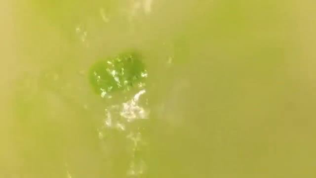 Лэтуаль смотреть онлайн