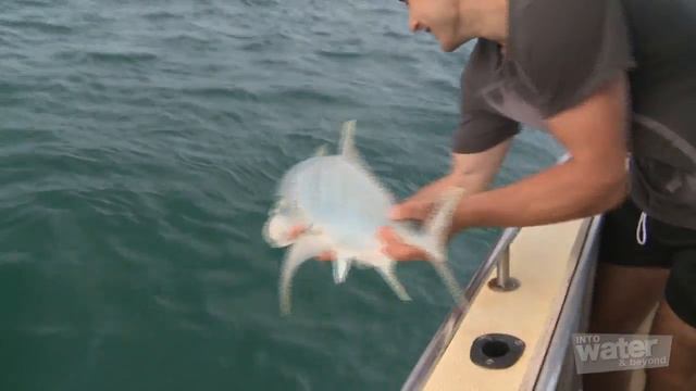 Cape York Part 3 Deep Sea Fishing and the Torres Straits At the Top смотреть онлайн