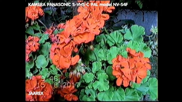 Panasonic S-VHS-C NV-S4F filmowanie w plenerze смотреть онлайн