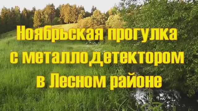 Ноябрьские прогулки с металлодетектором в Лесном районе смотреть онлайн