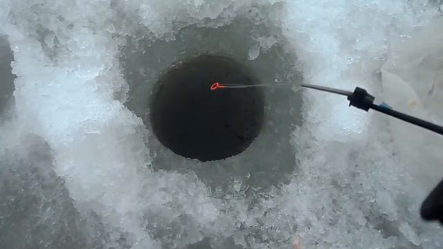 Кумбыш Архангельск 2015 смотреть онлайн