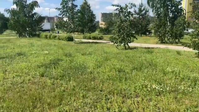 Ответы на вопросы Физкультура .Здоровье смотреть онлайн