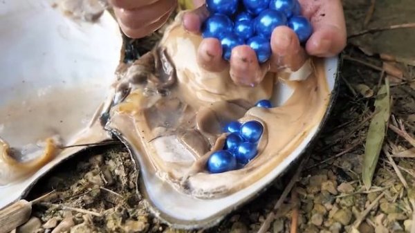I accidentally fell into the water and luckily found a river clam with precious blue pearls