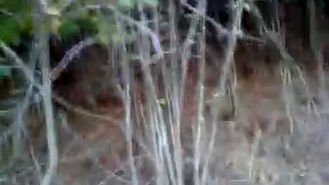 ZAGART E BASHKIM PACIT 1 смотреть онлайн