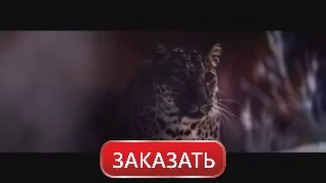 Идеальный корм для кошек Whiskas смотреть онлайн