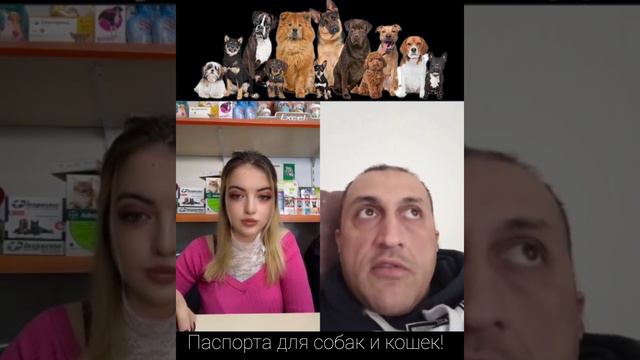 Паспорта для кошек и собак смотреть онлайн