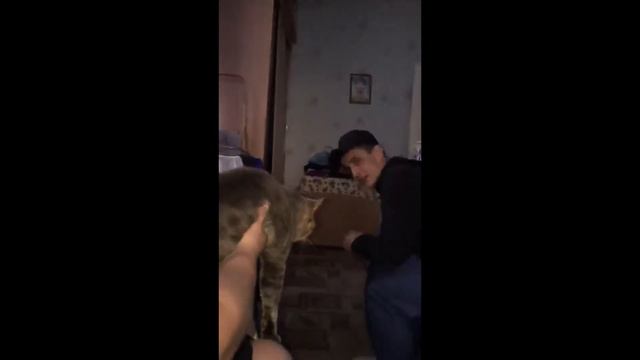 КОТ СЪЕЛ ЧЕЛОВЕКА СМОТРЕТЬ ВСЕМ НЕ БАЙТ! смотреть онлайн