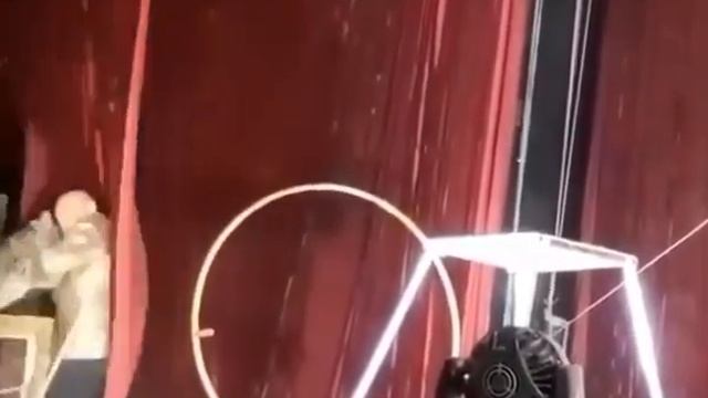 Рысь напала на дрессировщика смотреть онлайн