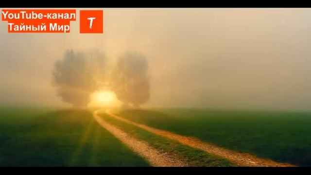 3 ЭТАПА ЭВОЛЮЦИИ СОЗНАНИЯ. МИКРОКОСМОС смотреть онлайн