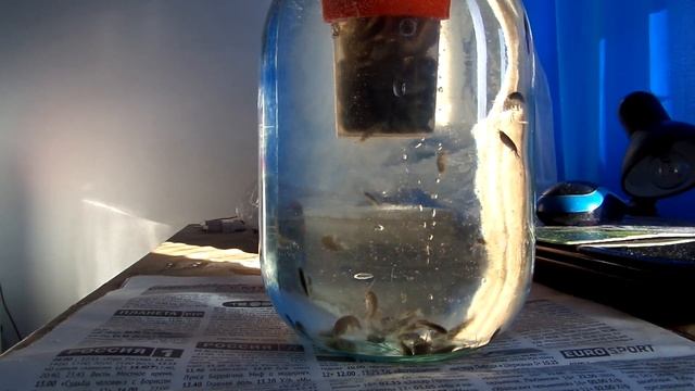 Кормушка для рыбалки из стаканчика из-под анализов смотреть онлайн