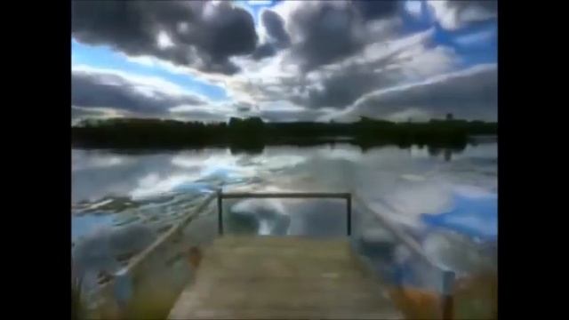 Mein Film  ЛЕБЕДИ