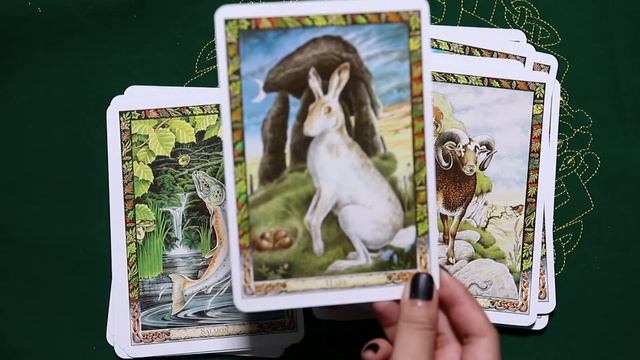 Druid Plant Oracle & Druid Animal Oracle - Review & Mở Hộp смотреть онлайн