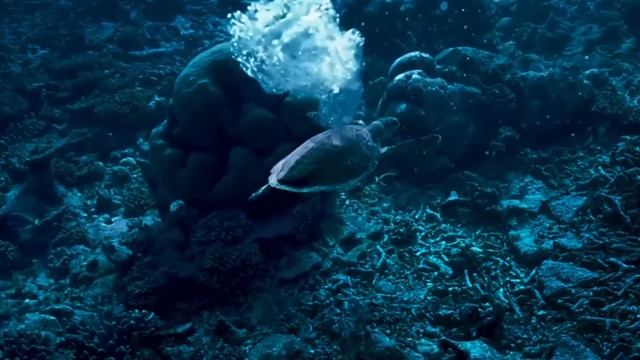 Мысли глобально, действуй локально. "Вместе за чистую планету" смотреть онлайн