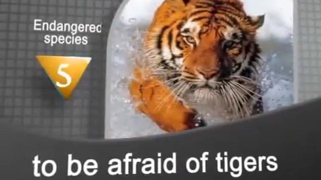 Вымирающие животные на английском языке. Endangered species. Word Express. Видеословарь. смотреть онлайн