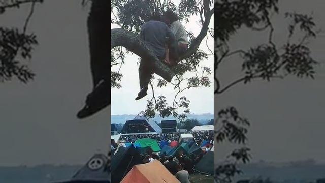 Old pictures of Glastonbury music festival смотреть онлайн