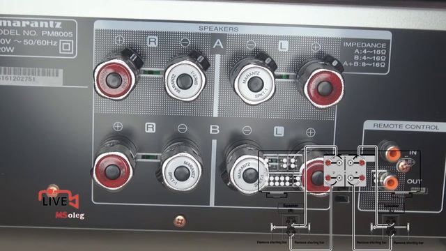Bi-wiring and bi-amping connection of loudspeakers and power amplifiers. смотреть онлайн