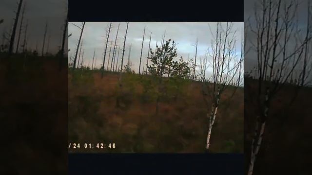 Через Оршинский мох на квадроцикле смотреть онлайн