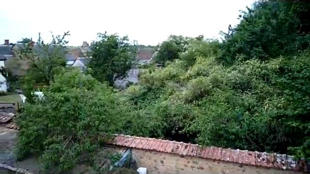 Petite vue de mon jardin.mp4 смотреть онлайн