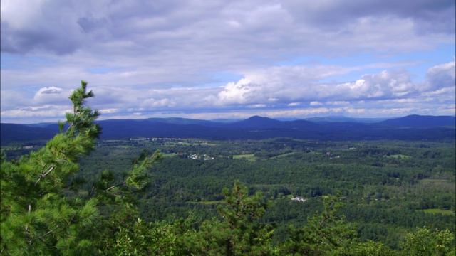 Dave Smith Instruments Prophet '08: Drawbar Organ смотреть онлайн