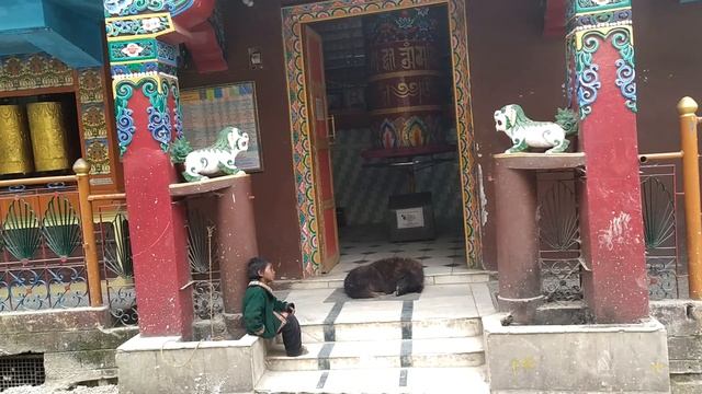 Дхарамсала - резиденция Далай Ламы | Индия смотреть онлайн