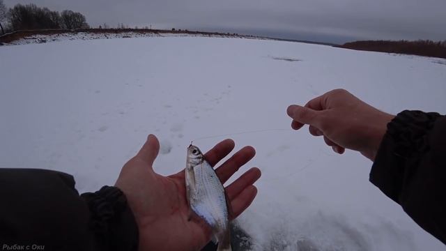 Зимняя Рыбалка на Оке 2021 ! Ловля рыбы зимой на течении ! смотреть онлайн