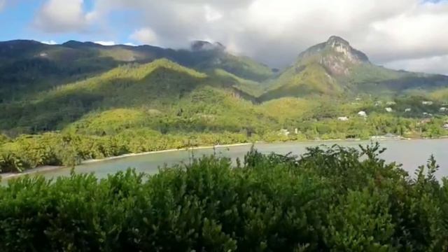 птица высокого полёта смотреть онлайн