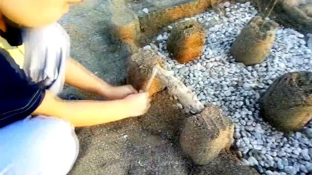 Строим и рушим замок из песка смотреть онлайн