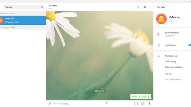 Chat & Find Your Telegram ID смотреть онлайн