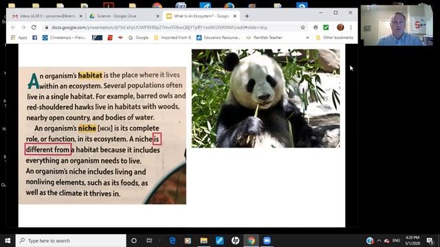 5th Grade - Science - What is an Ecosystem? смотреть онлайн