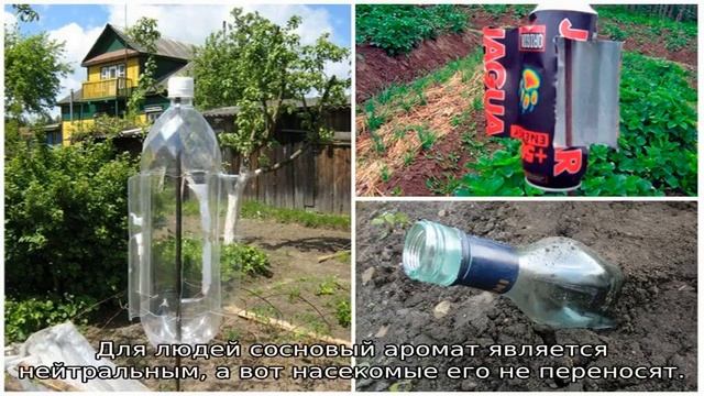 Чего боятся осы смотреть онлайн