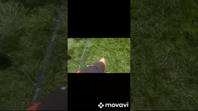 Аквапоника Релакс смотреть онлайн