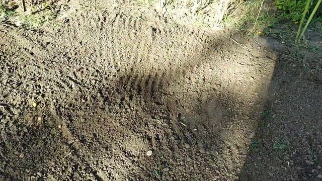 Самое лучшее удобрение после сбора картофеля. смотреть онлайн