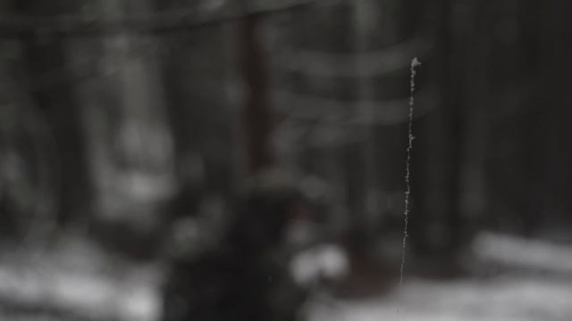 CHAMOIS HUNT ROMANIA ? MOUNTAIN HUNTING CARPATHIAN CHAMOIS ? CAPRA NEAGRA - WORLDS BIGGEST CHAMOIS смотреть онлайн