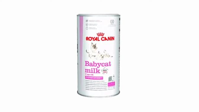 Стоит ли покупать заменитель молока для котят Royal Canin 