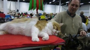 Самый большой МЕЙН КУН в мире